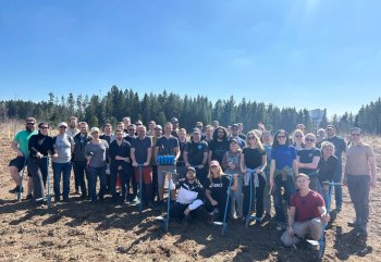 Gruppenfoto von RISE Mitarbeitern beim Baumpflanzen